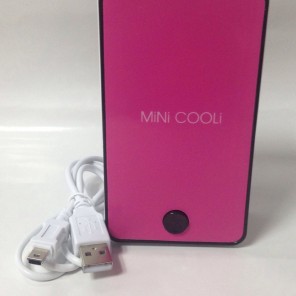 Mini Rechargeable Cooler